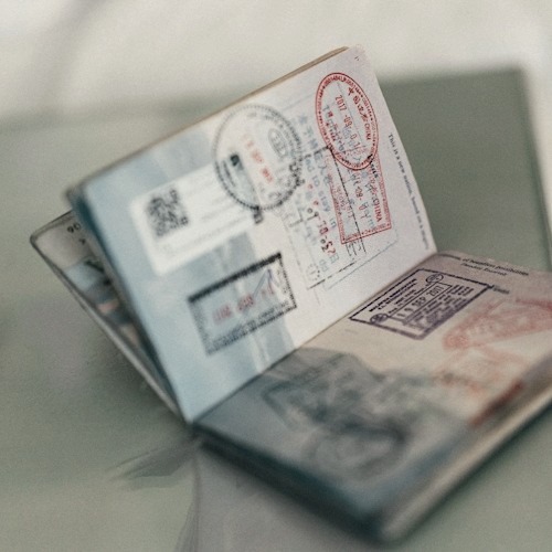 Damgalı pasaport sayfaları